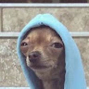 Meet your Posher, Bros